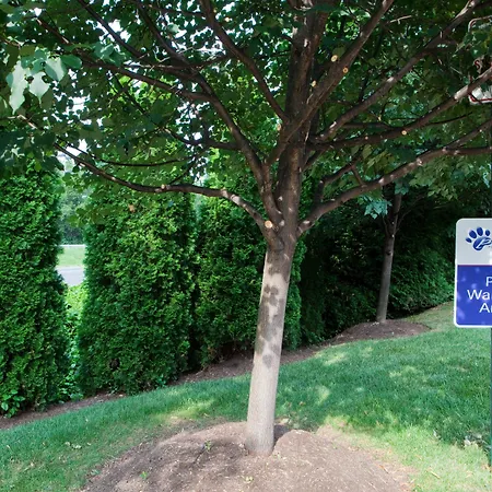 Candlewood Suites Washington-Fairfax By Ihg-2