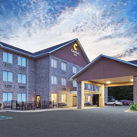 Comfort Inn Whitehall Near Michigan'S Adventure-3