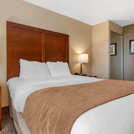 Comfort Inn & Suites South Hill I-85-3