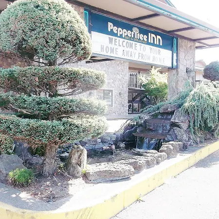 Pepper Tree Inn-3