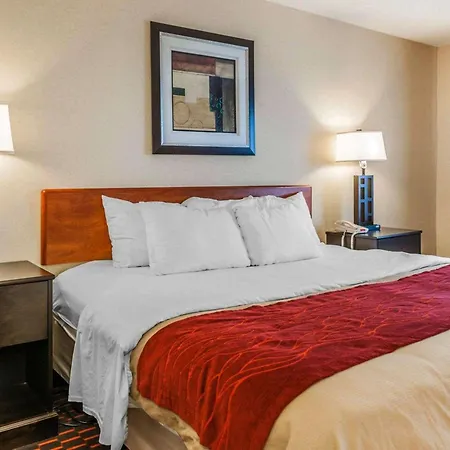 Comfort Inn Avon-Indianapolis West-3