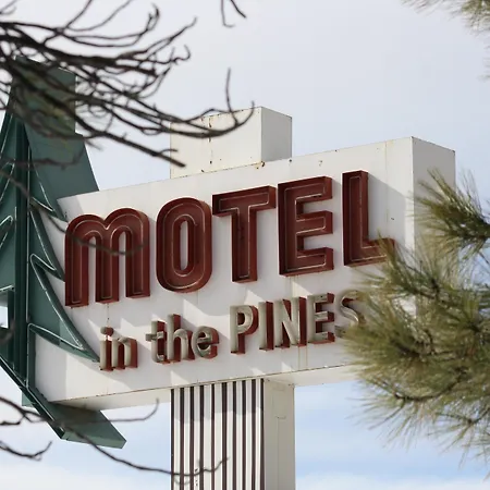 Motel In The Pines-2