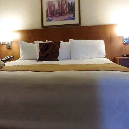 Rosslyn Inn & Suites-3