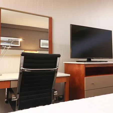 Hampton By Hilton Chihuahua-3