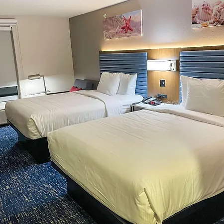 Wingate By Wyndham Panama City Area Lynn Haven-2