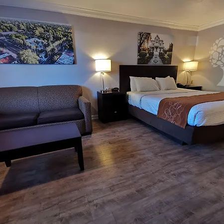 Journey Inn-2