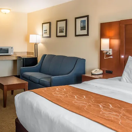 Comfort Suites Wixom - Novi-3