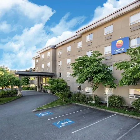 Comfort Inn & Suites-3