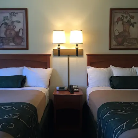 Travelodge By Wyndham Dunsmuir-2