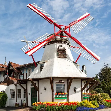 Auld Holland Inn-2