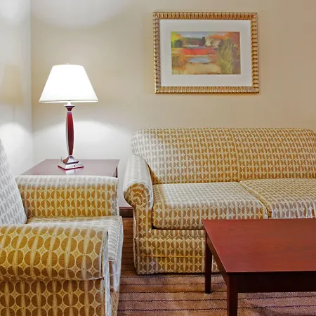 Holiday Inn Express Hotel & Suites Austell Powder Springs By Ihg-2