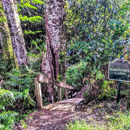 Hamakua Guesthouse-3