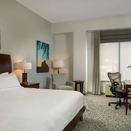 Hilton Garden Inn Phoenix Airport North-3