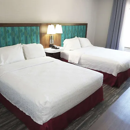 Hampton Inn & Suites Flowery Branch-2