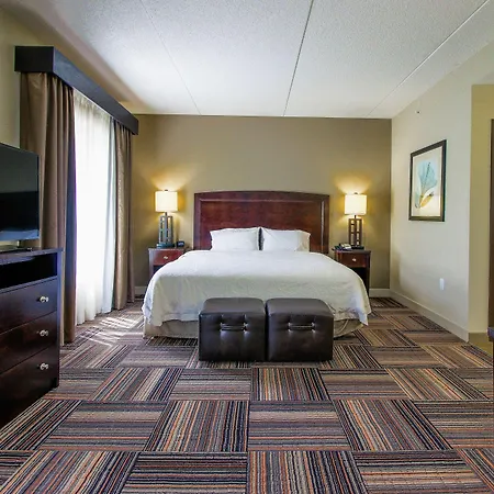 Hampton Inn & Suites Flowery Branch-3