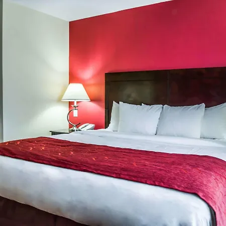 Comfort Suites Palm Bay - Melbourne-2
