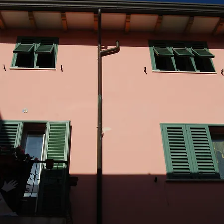 Burlamacco Gold-3