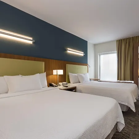 Springhill Suites By Marriott Charlotte Ballantyne-3