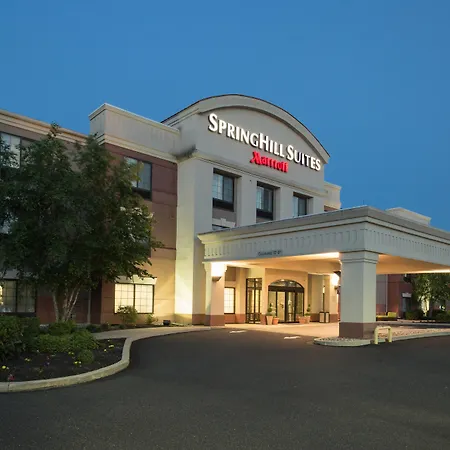 Springhill Suites Quakertown Pennsylvania-3