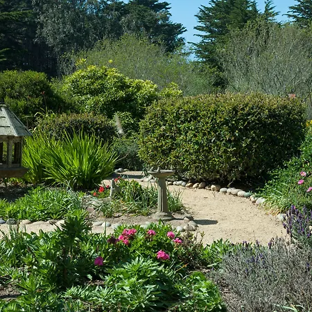 Seal Cove Inn-3