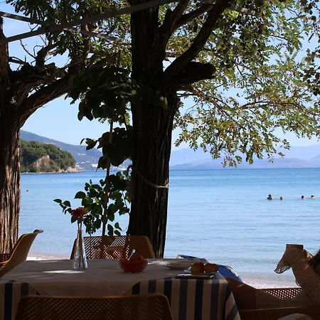 Dassia Beach Hotel-3