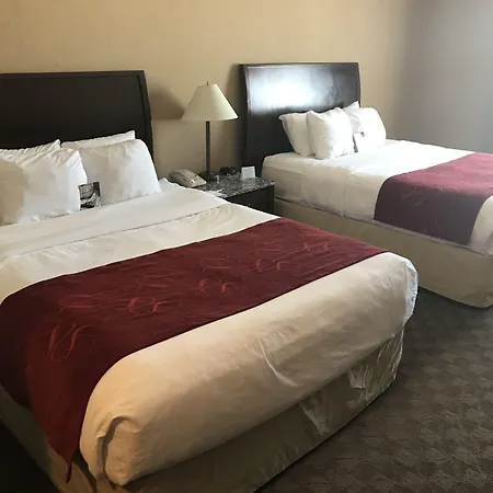 Comfort Inn & Suites Airdrie-3