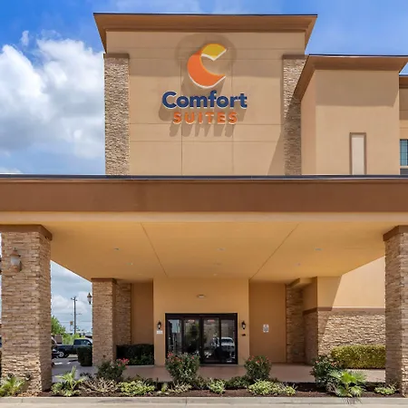 Comfort Suites Buda - Austin South-3