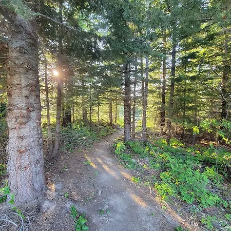Cooper Spur Mountain Resort-3