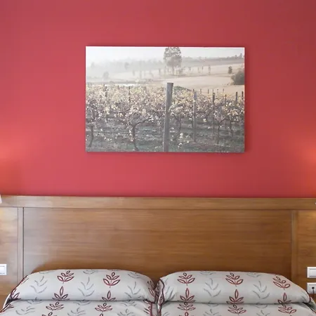 Hotel Milagros Rio Riaza-2