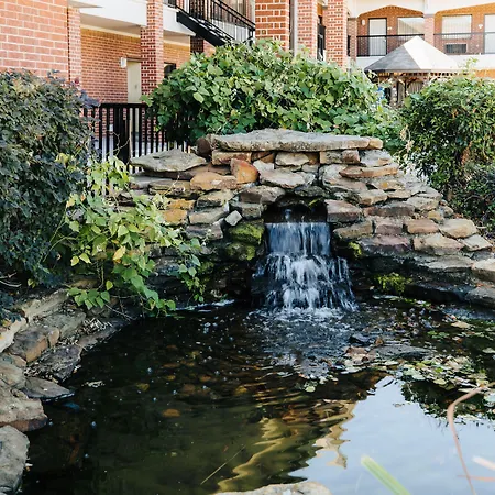Winchester Inn And Suites Humble/Iah/North Houston-3