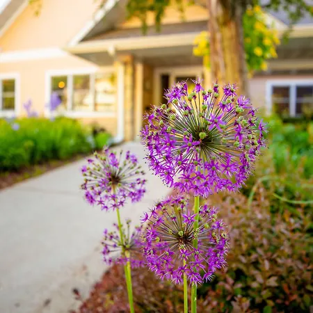 Westwood Shores Waterfront Resort-3