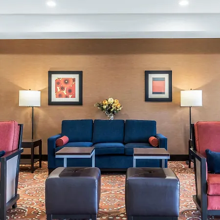 Comfort Inn & Suites Near Bethel College-3