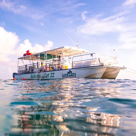 Looe Key Reef Resort And Dive Center-2