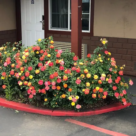 Haven Inn Of Chico-3