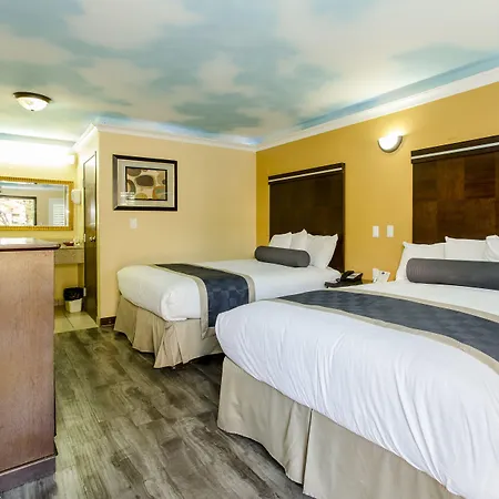 Hollywood Palms Inns & Suites-3
