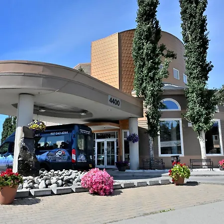 Puffin Inn-2