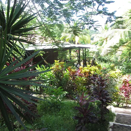 Hibiscus Valley Inn-2