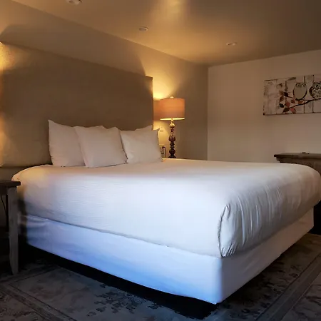 Iron Horse Inn-3