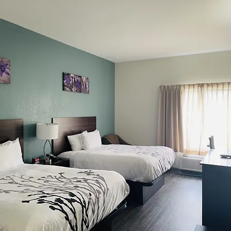 Sleep Inn & Suites Foley - Gulf Shores North-2