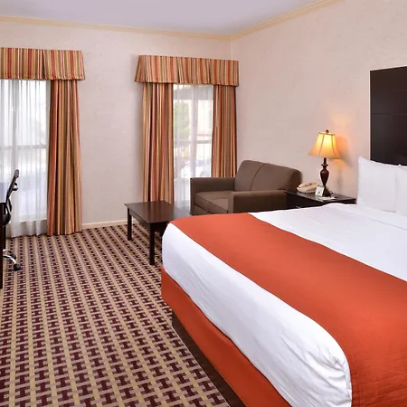 Best Western Brentwood-3