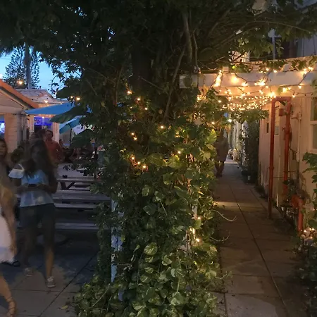 Bikini Lodge (Adults Only)-3