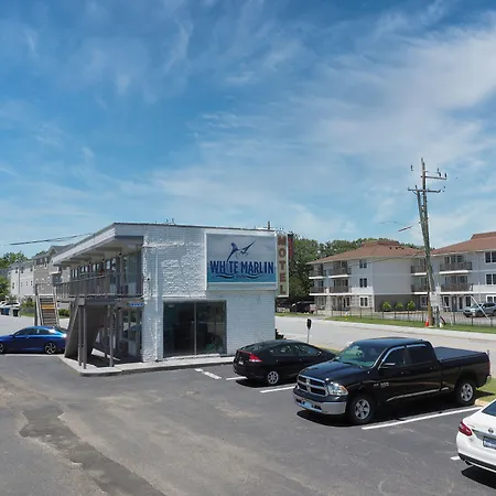 White Marlin Inn - Virginia Beach-3