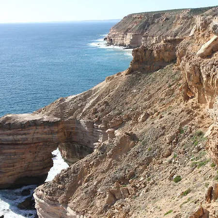 Pelican'S Nest-3