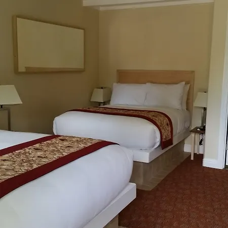 Marin Lodge-2