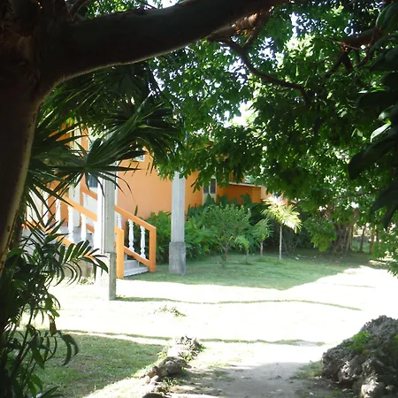 Seagrape Plantation Resort & Dive Center-3