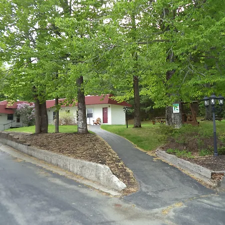 Mount Blue Motel-3