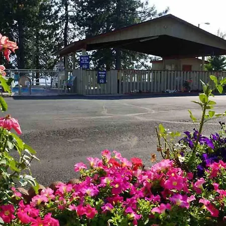 Swiss Holiday Lodge-3