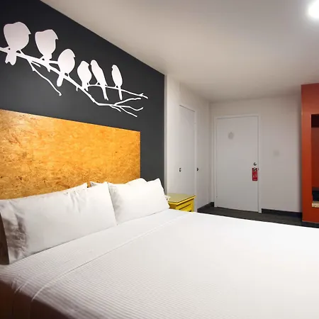 B My Hotel-2