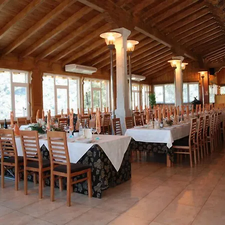 Complejo Hostelero Paladium-3