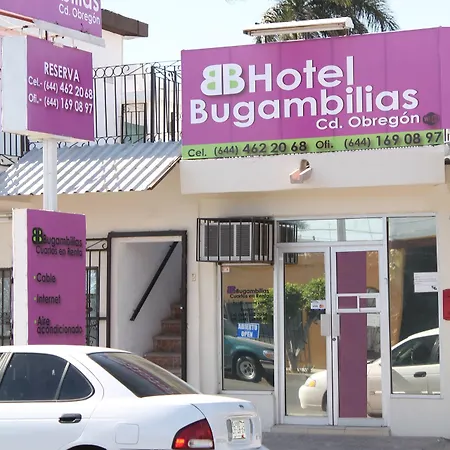 Hotel Bugambilias-2